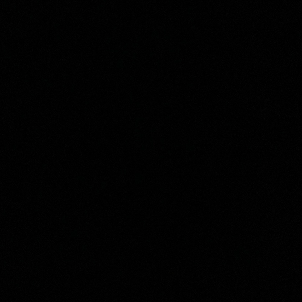 IGNORE